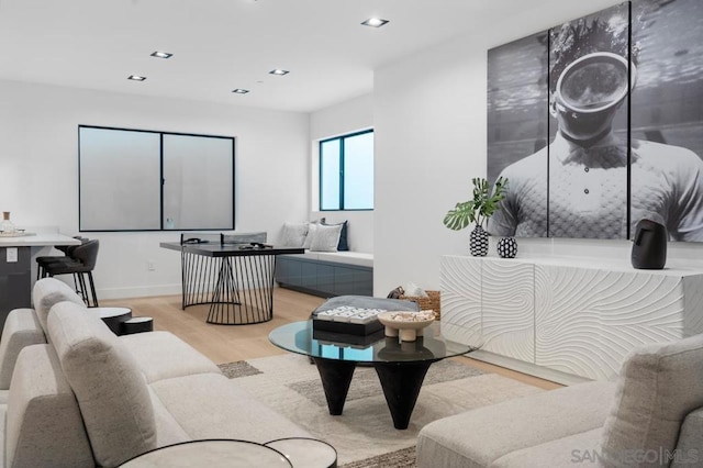 living room featuring light hardwood / wood-style flooring