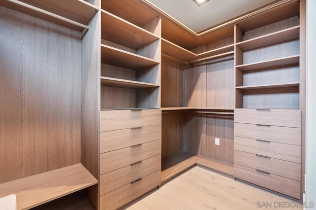 spacious closet with light hardwood / wood-style flooring