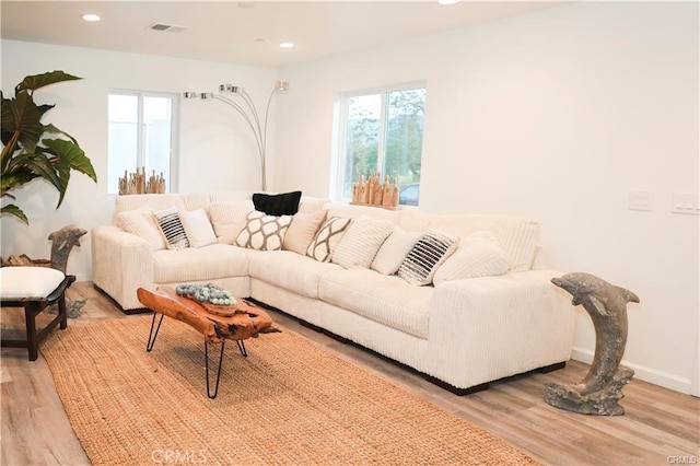 living room with a wealth of natural light and light hardwood / wood-style flooring