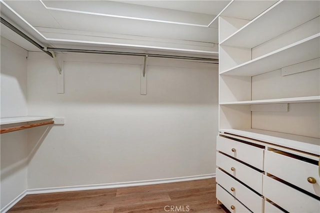 walk in closet with wood-type flooring