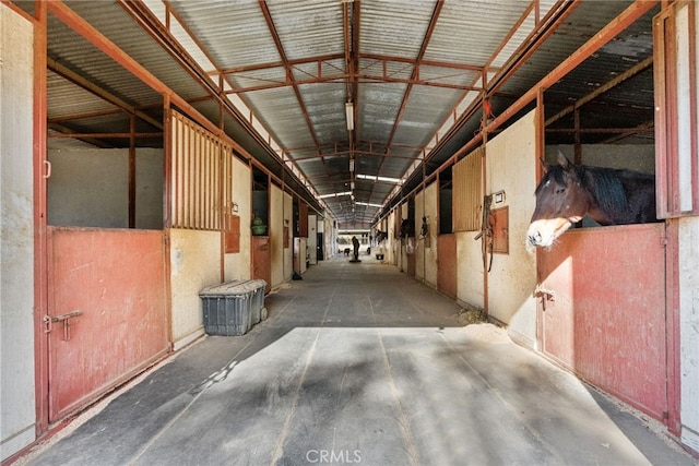 view of horse barn