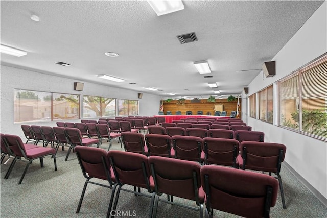 cinema room with carpet floors, a wealth of natural light, and a textured ceiling