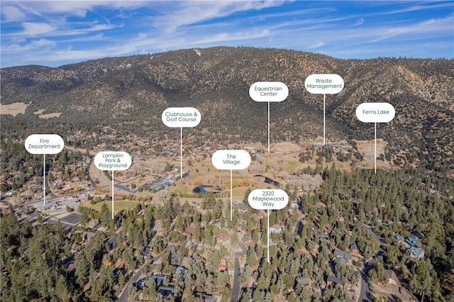 birds eye view of property featuring a mountain view