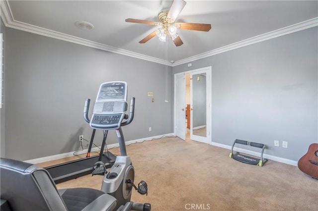 workout area featuring carpet flooring, ceiling fan, and ornamental molding