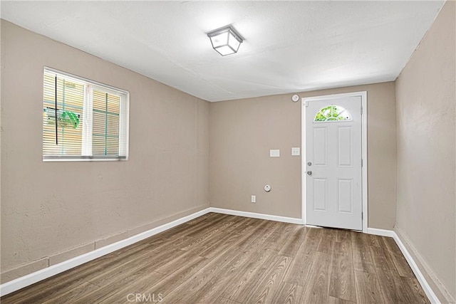 foyer with a wealth of natural light and wood-type flooring