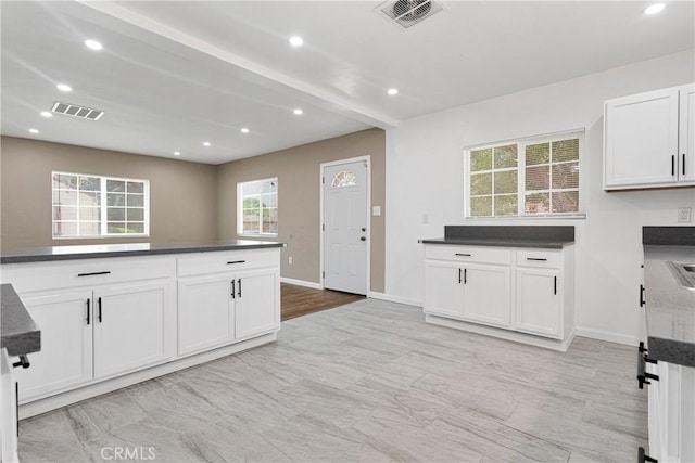 kitchen with white cabinetry and a healthy amount of sunlight