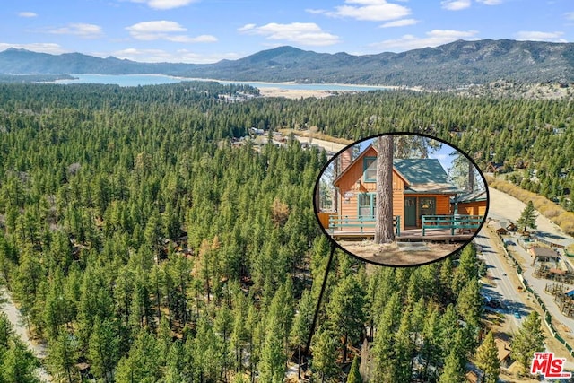 birds eye view of property with a mountain view