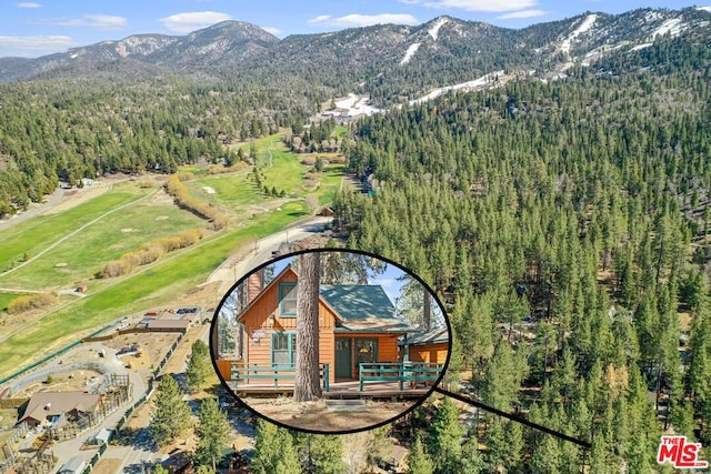 birds eye view of property with a mountain view