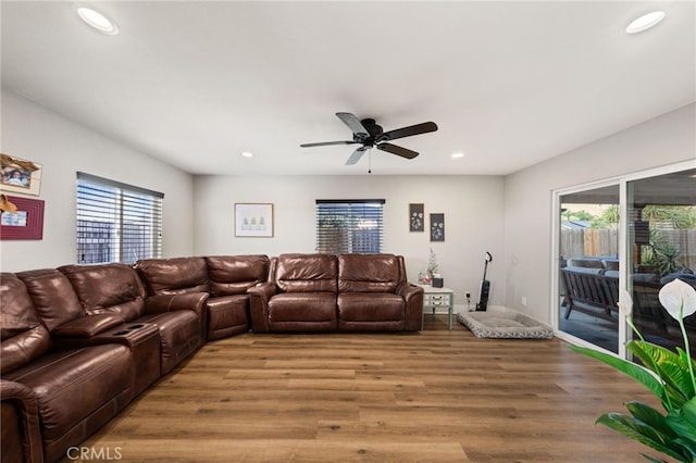 living room with ceiling fan and light hardwood / wood-style flooring