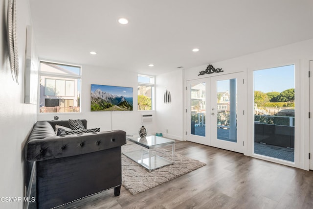 living room with wood-type flooring and french doors