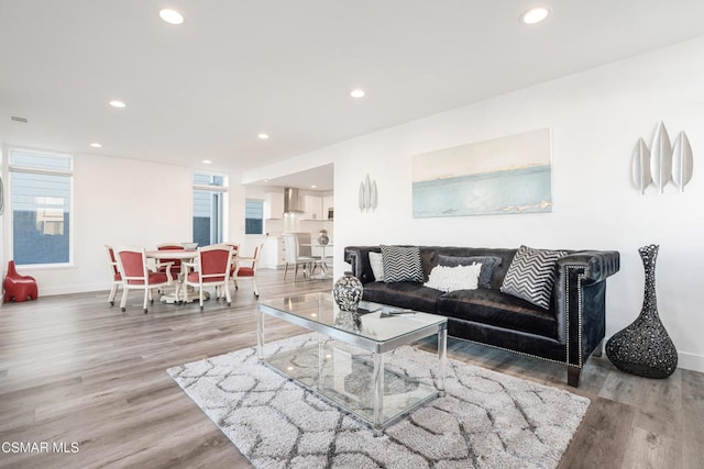 living room featuring light hardwood / wood-style floors