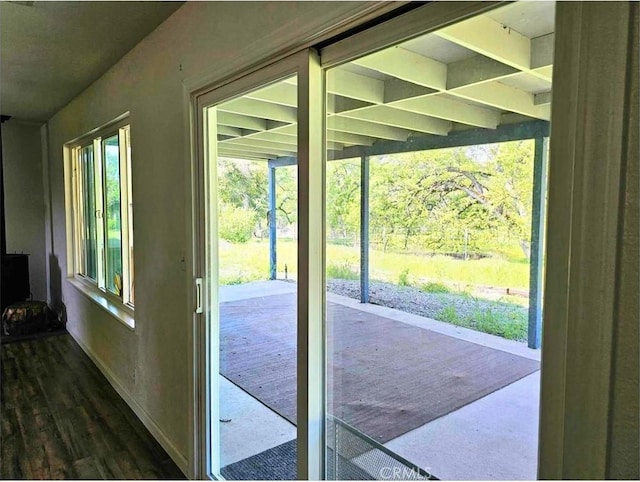 entryway with dark hardwood / wood-style flooring