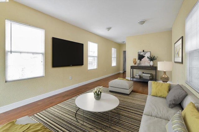 living room featuring hardwood / wood-style floors