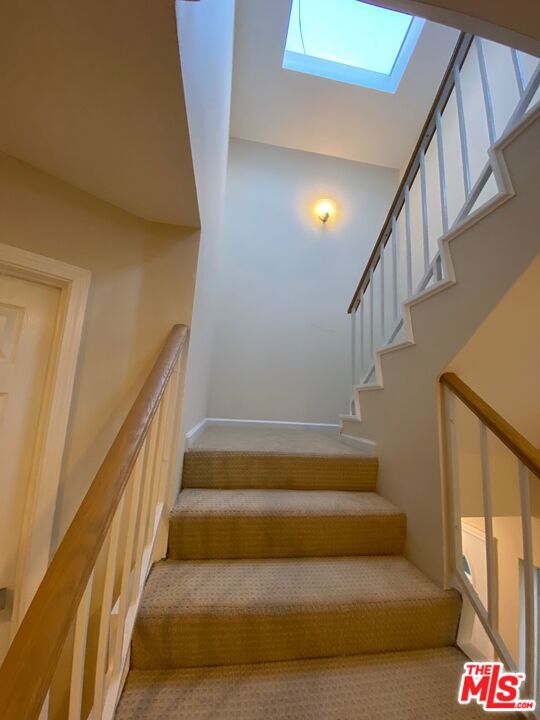 stairway featuring carpet flooring and a skylight