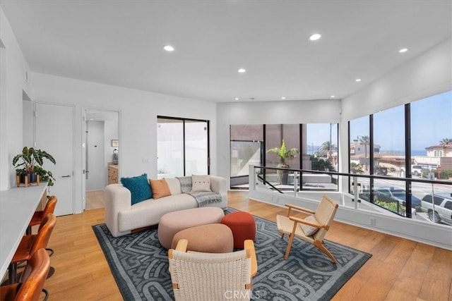 living room with light hardwood / wood-style floors