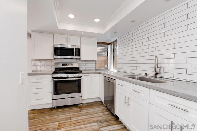 kitchen featuring white cabinets, sink, light stone countertops, appliances with stainless steel finishes, and a tray ceiling