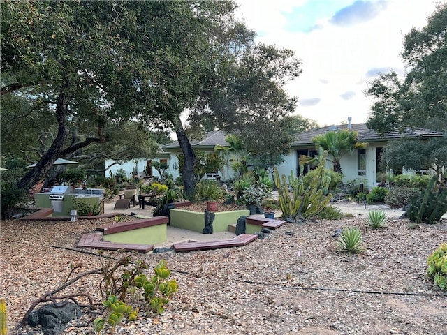 view of yard with a patio area