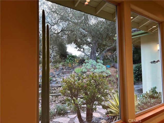 doorway to outside with a wealth of natural light