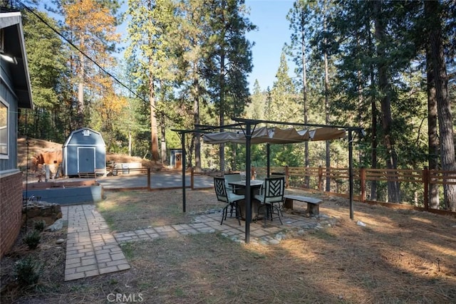 view of yard with a shed and a patio area