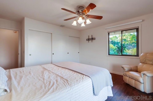 bedroom featuring ceiling fan, dark hardwood / wood-style floors, and a closet