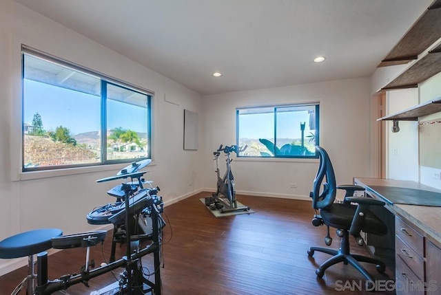 exercise area featuring dark hardwood / wood-style floors