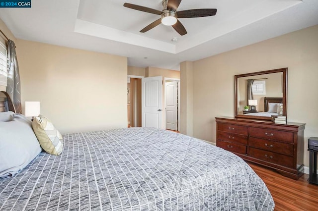 bedroom with ceiling fan, dark hardwood / wood-style flooring, a tray ceiling, and multiple windows