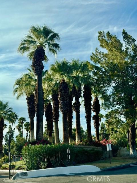 2810 N Arcadia Ct Unit 208, Palm Springs, CA 92262 - view of community