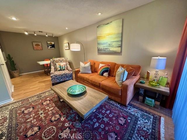 living room featuring rail lighting, wood finished floors, and baseboards