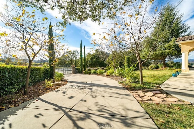 view of road with driveway and a gate