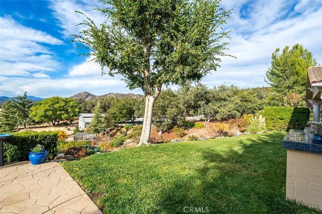 view of yard featuring a mountain view