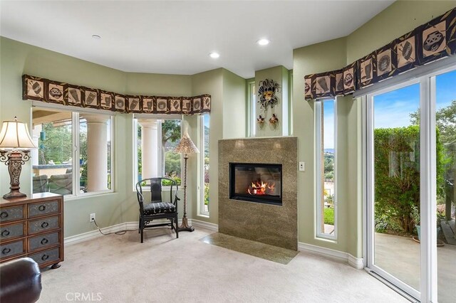 sitting room with carpet flooring