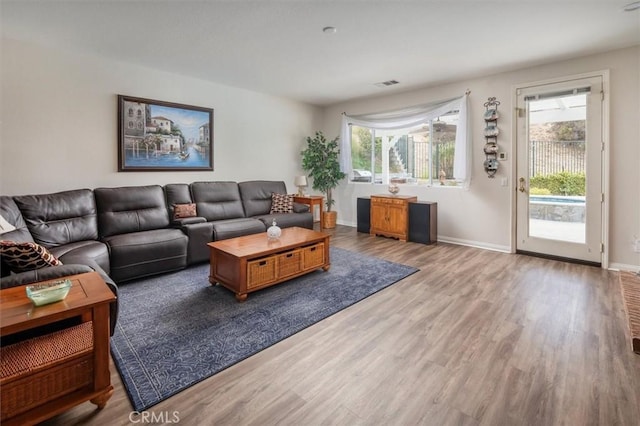 living room featuring hardwood / wood-style flooring and a wealth of natural light