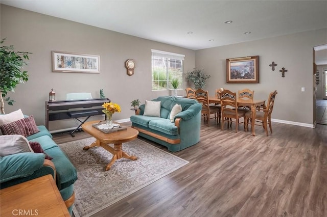 living room featuring wood-type flooring