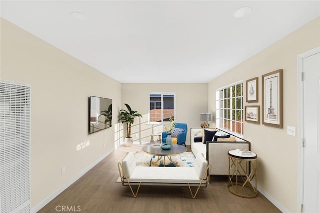 living room featuring hardwood / wood-style flooring