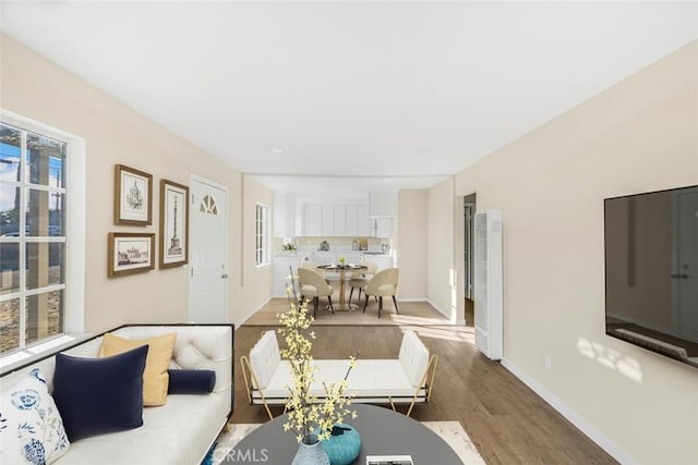 living room featuring hardwood / wood-style floors and a wealth of natural light