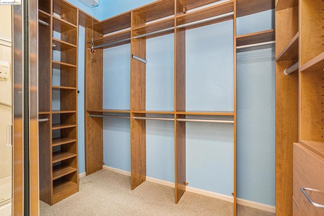 walk in closet with carpet