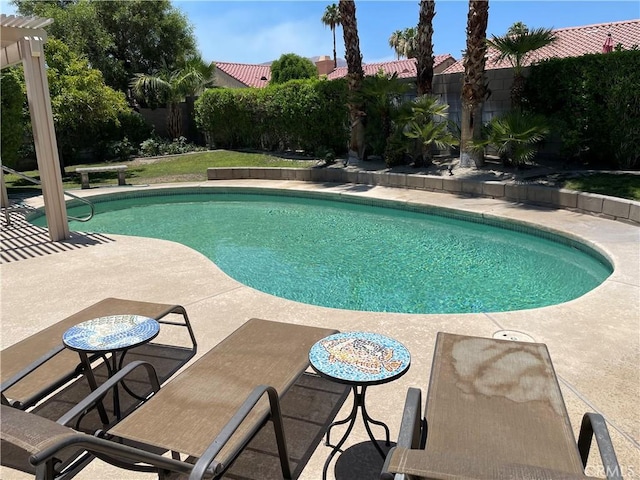 view of pool with a patio