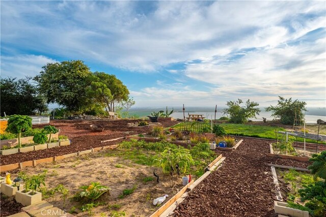 view of yard featuring a water view