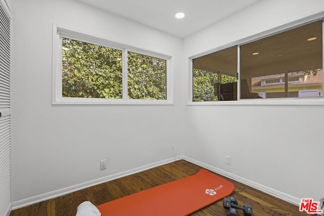 workout room with hardwood / wood-style floors