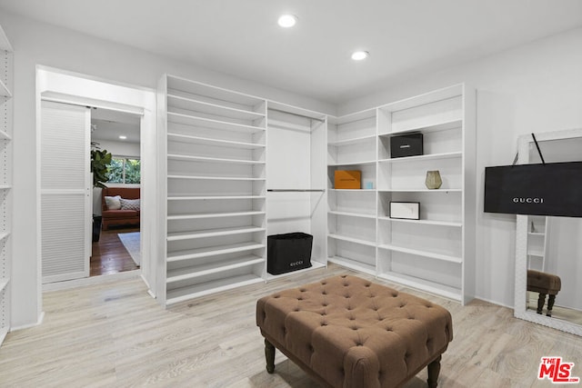 spacious closet with light wood-type flooring