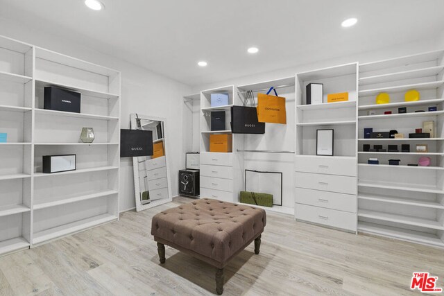 spacious closet with light hardwood / wood-style flooring