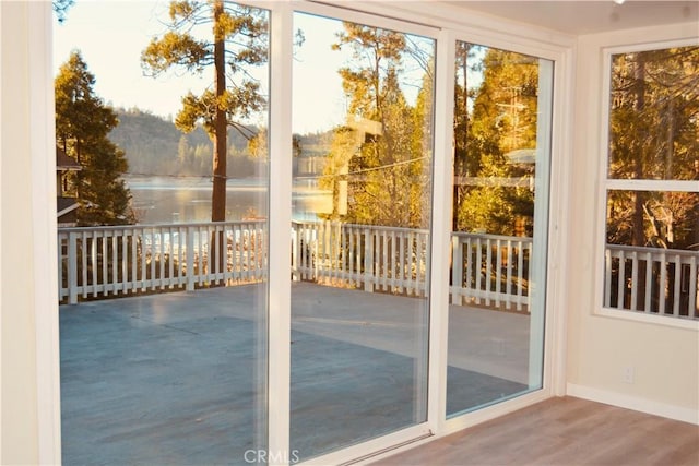 entryway featuring hardwood / wood-style flooring and a water view