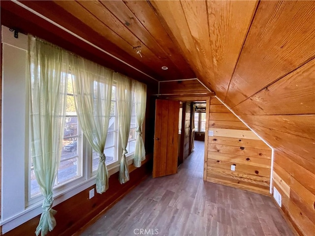 additional living space featuring a healthy amount of sunlight, wood ceiling, and wood walls