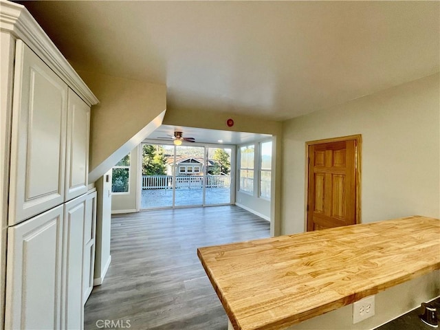 interior space with dark wood-type flooring