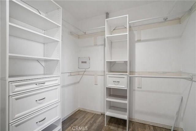 walk in closet featuring dark wood-type flooring