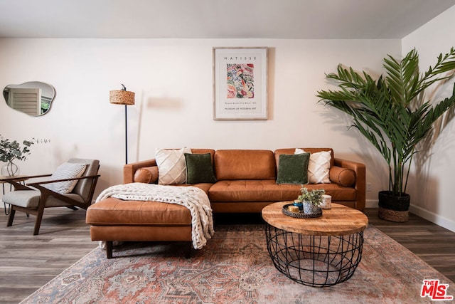 living room with dark hardwood / wood-style flooring