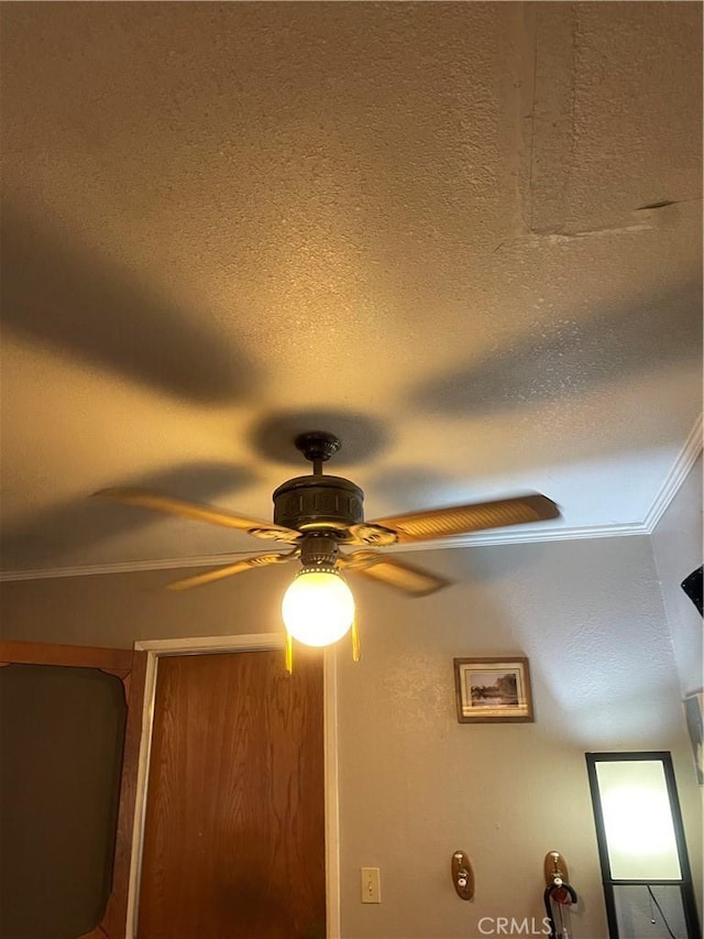 interior details with ceiling fan, ornamental molding, and a textured ceiling