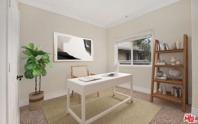 carpeted office featuring crown molding