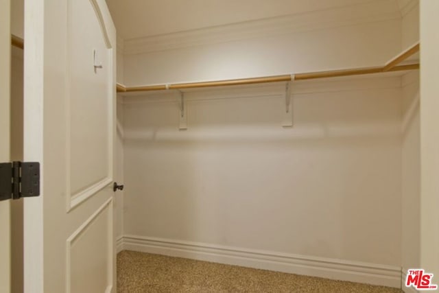 spacious closet with carpet flooring