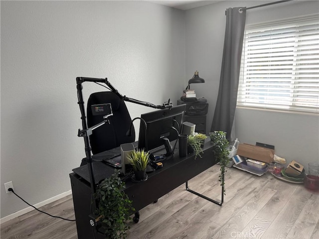 office space featuring light hardwood / wood-style flooring